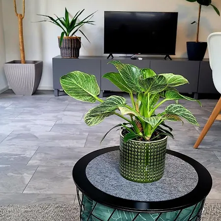 Ruhig Gelegende An Der Mosel *