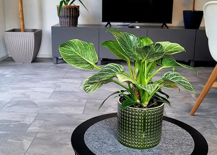 Ruhig Gelegende An Der Mosel *